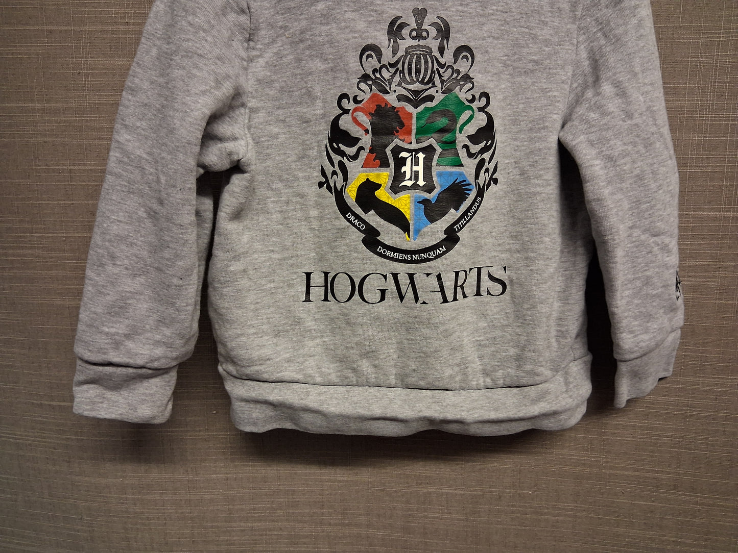 Harry Potter Boys Hoodie Jersey Grey Long Sleeve Age 3-4 Years