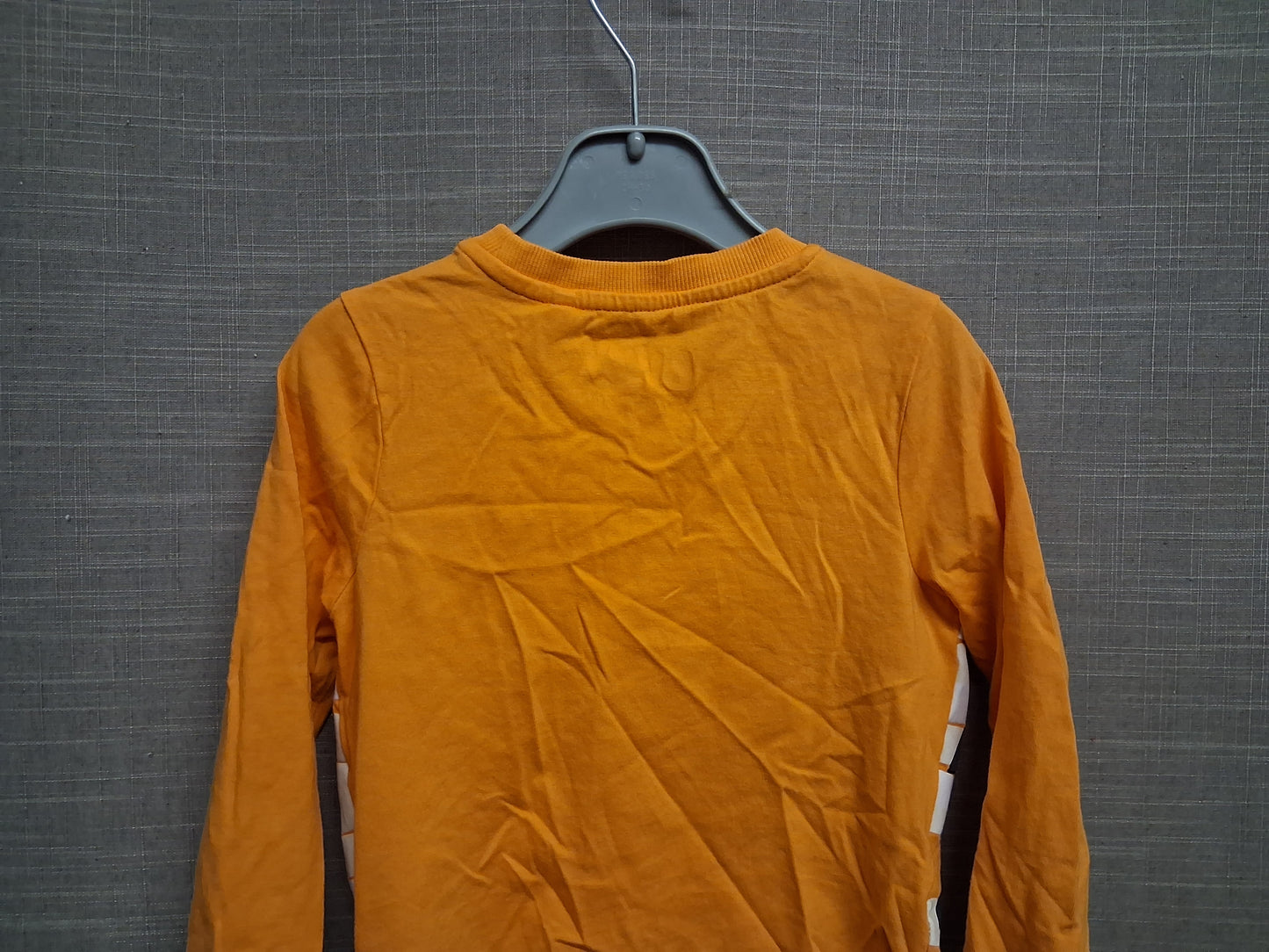 F&F Bluey Halloween Theme Orange Long Sleeve T-Shirt Age 2-3 Years
