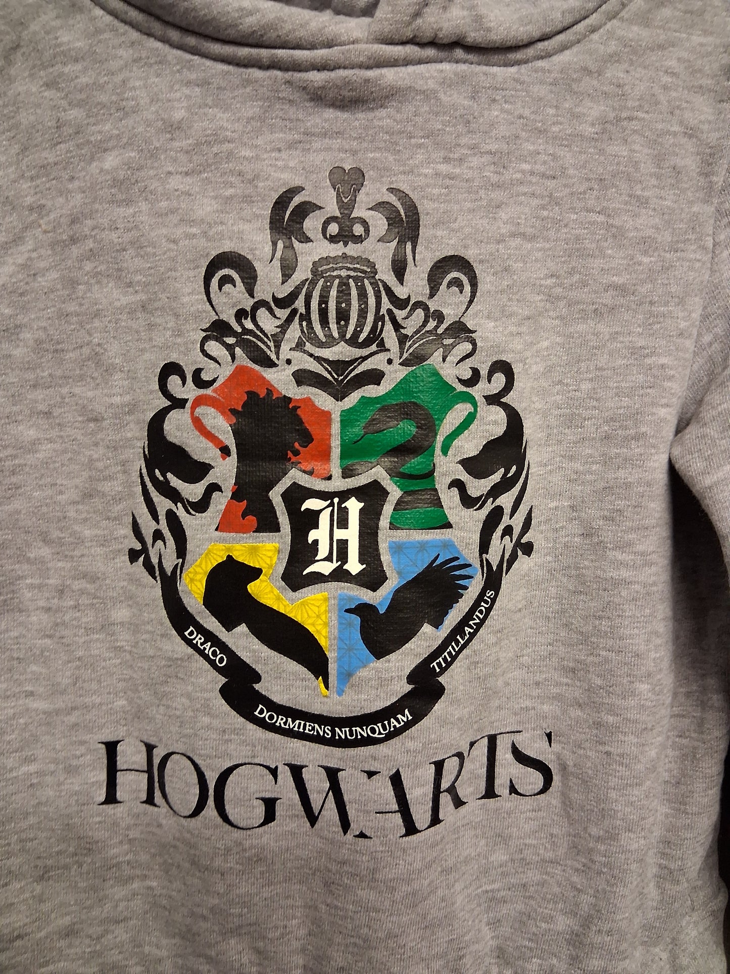 Harry Potter Boys Hoodie Jersey Grey Long Sleeve Age 3-4 Years