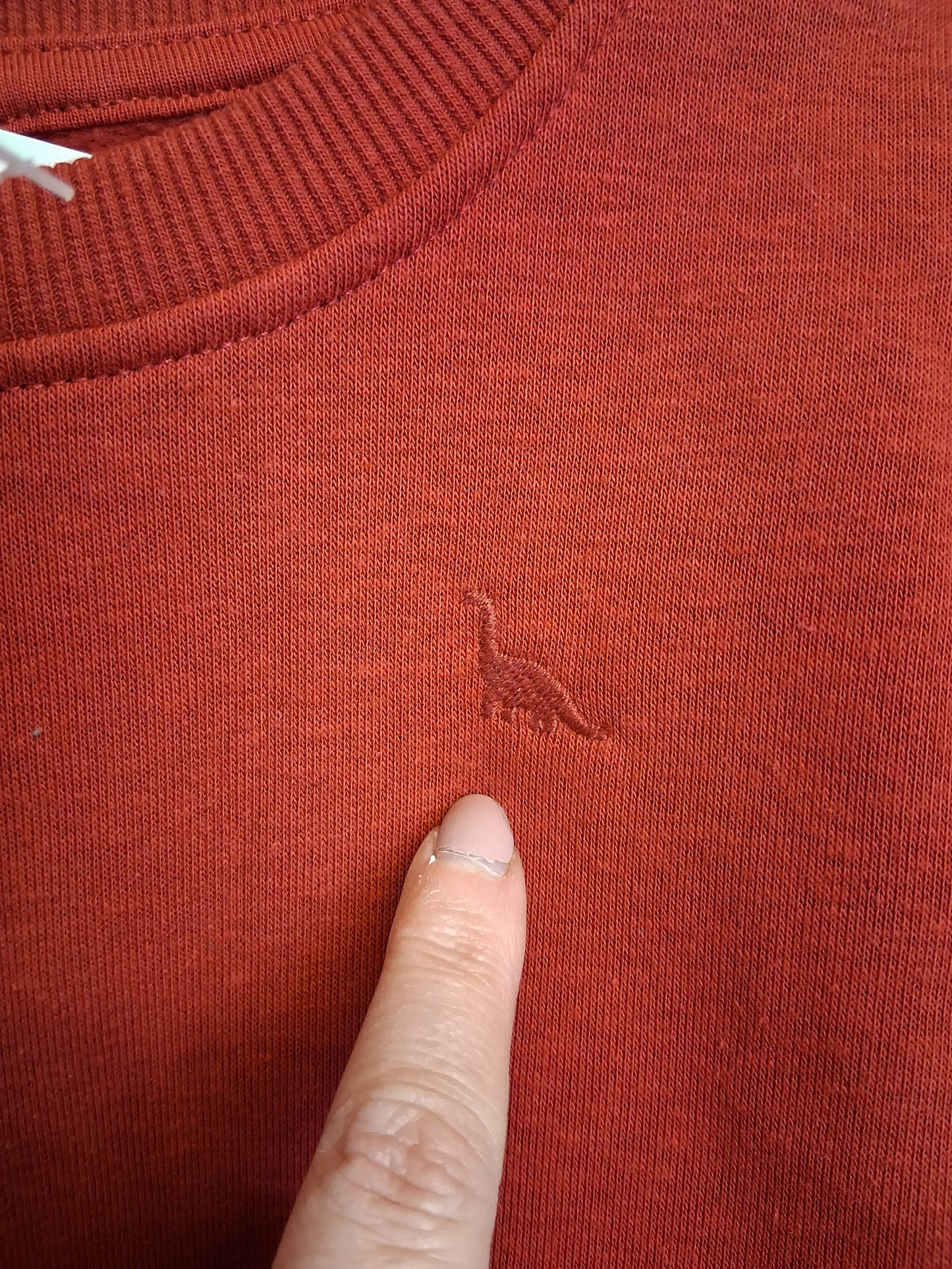 Peacock Boys Red Crew Neck Sweater Age 5-6 Years New