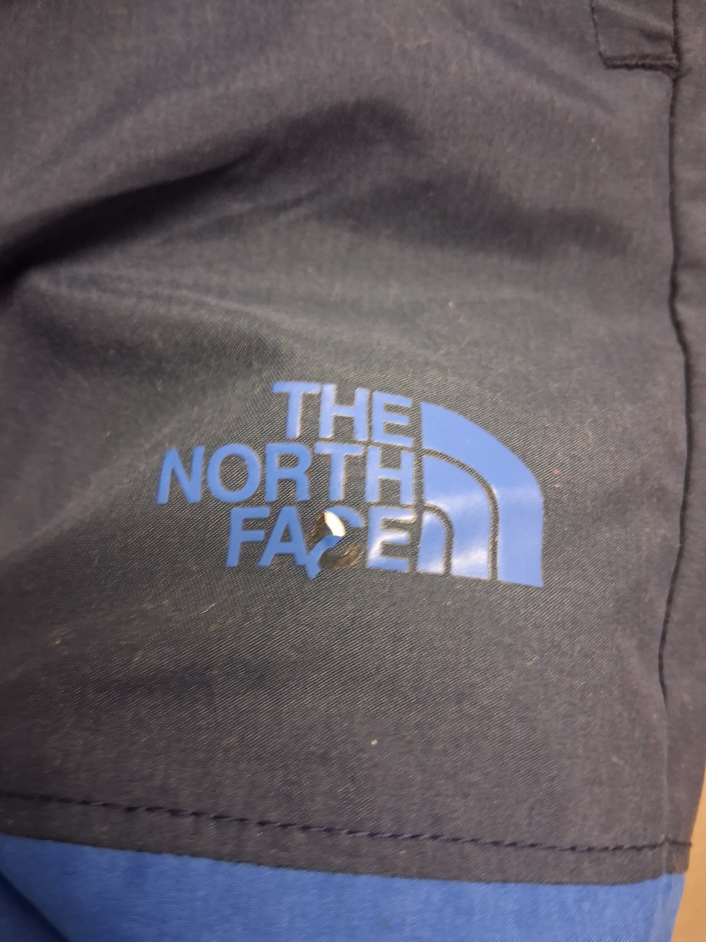 The North Face Boys Blue Swim Shorts Size Large Age 10-12 Years