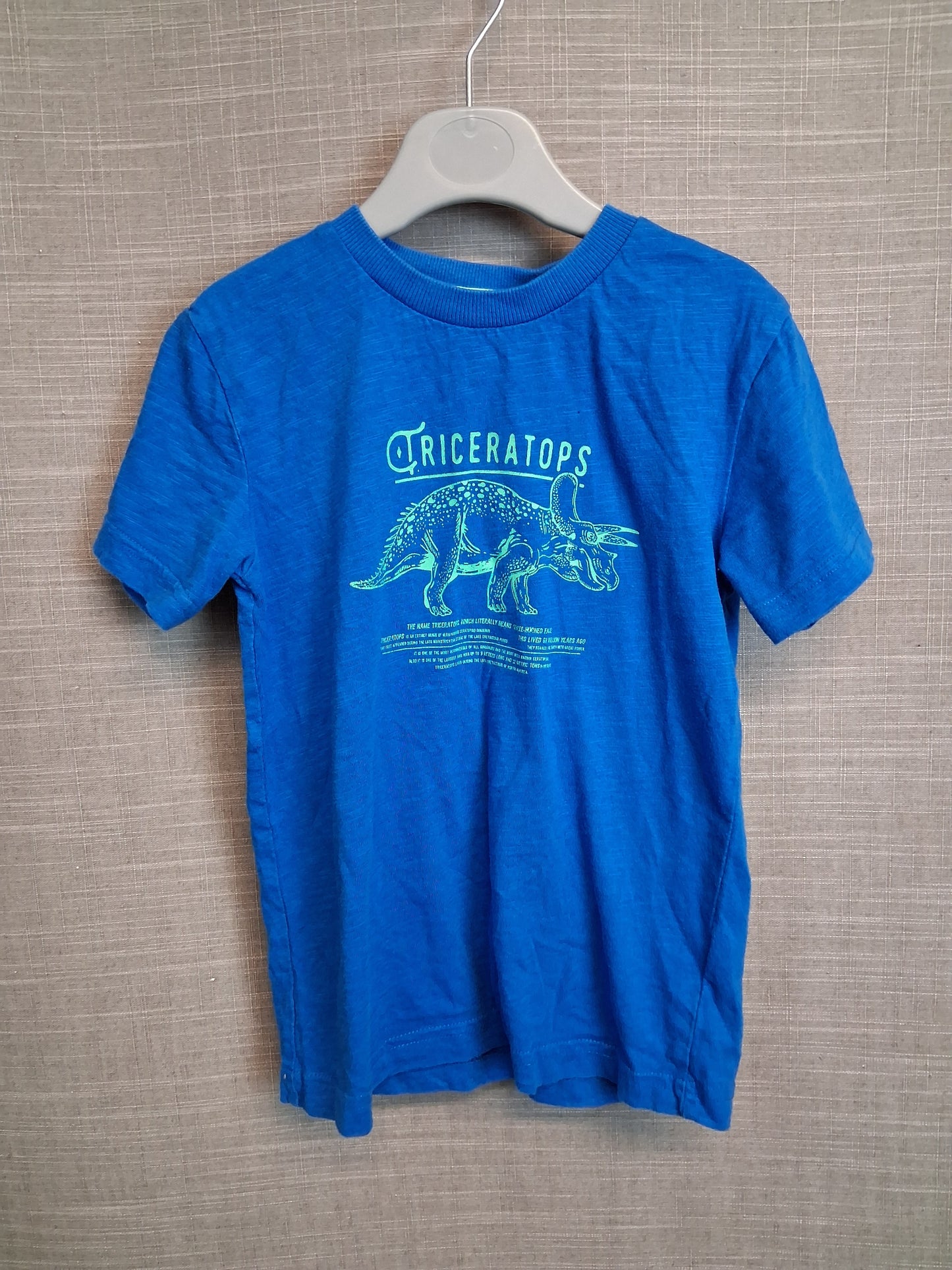 Next Boys Blue Short Sleeve T-Shirt Dinosaur Age 4 Years