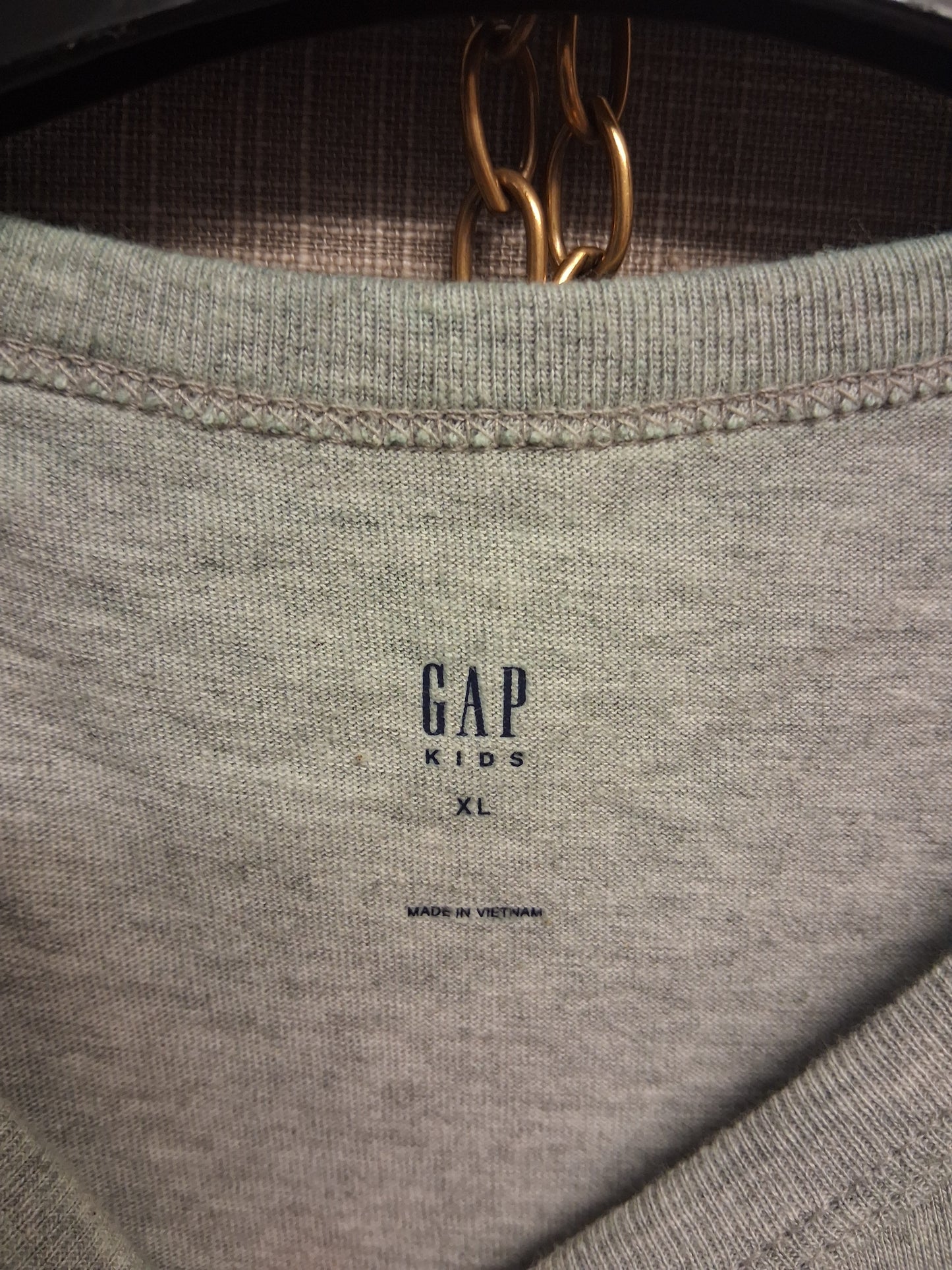 GAP Boys Grey Short Sleeve T-Shirt Dinosaur Graphic Age 12-13 Years