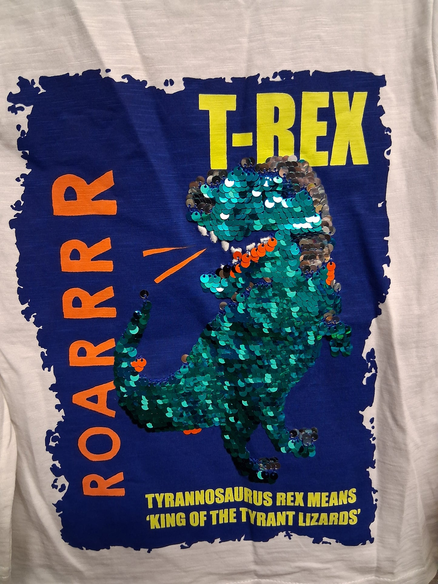 F&F Boys 2 way Sequin Dinosaur Long Sleeve T-Shirt Age 3-4 Years New