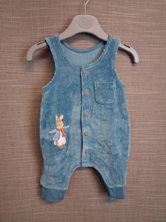 Peter Rabbit Blue Velour Romper One Piece Age First Size