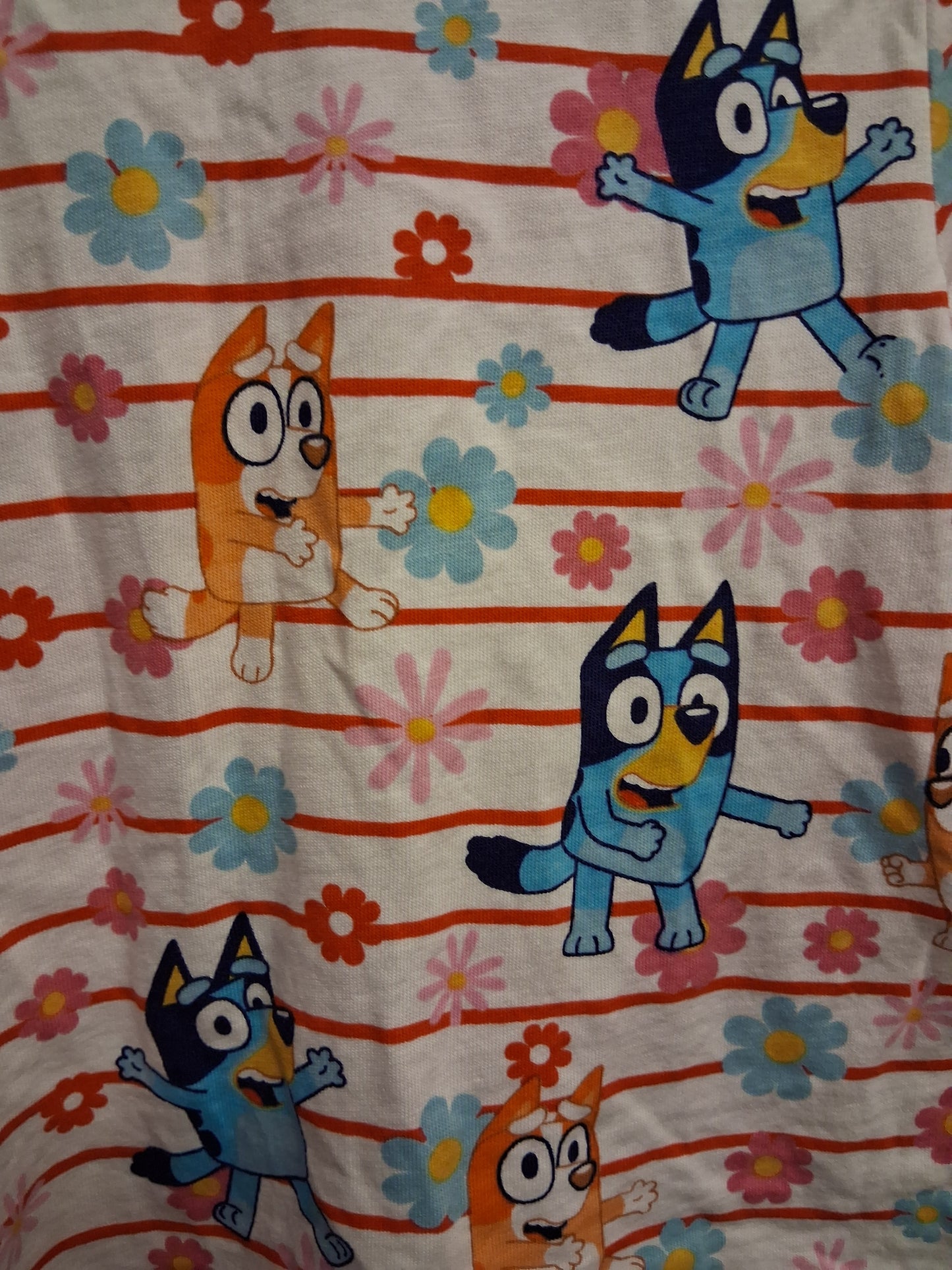Nutmeg Girls Bluey Multicolour Striped Short Sleeve T-Shirt Age 18-24 Months