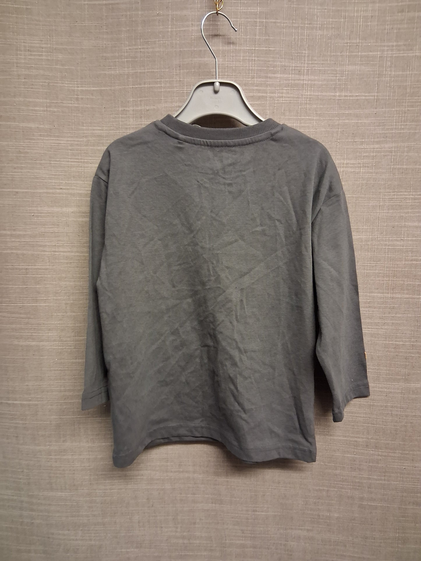 Harry Potter F&F Grey Long Sleeve Boys T-Shirt Age 3-4 Years
