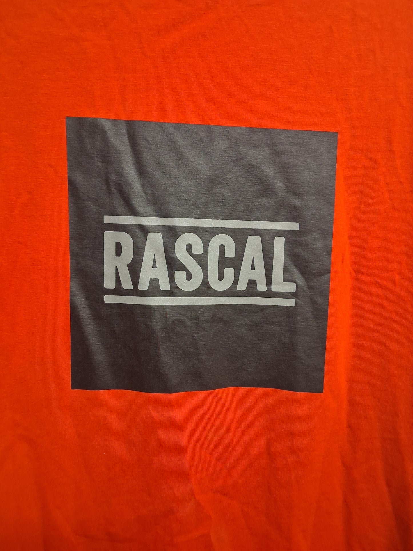 Rascal Boys Red Short Sleeve T-Shirt Age 15-16 Years
