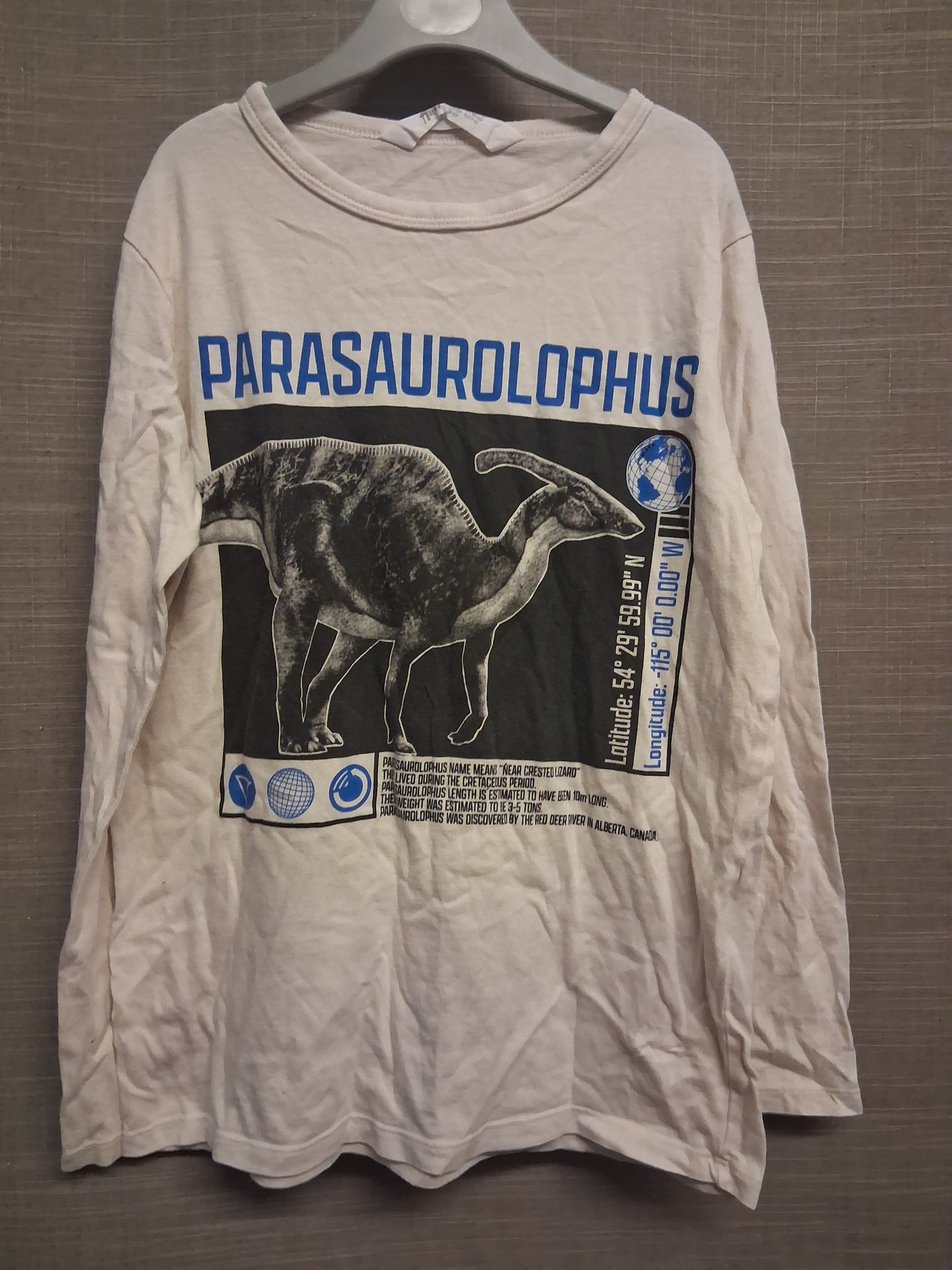 H&M Boys Long Sleeve Cream Dinosaur Theme T-Shirt Age 8-10 Years