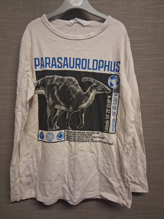 H&M Boys Long Sleeve Cream Dinosaur Theme T-Shirt Age 8-10 Years