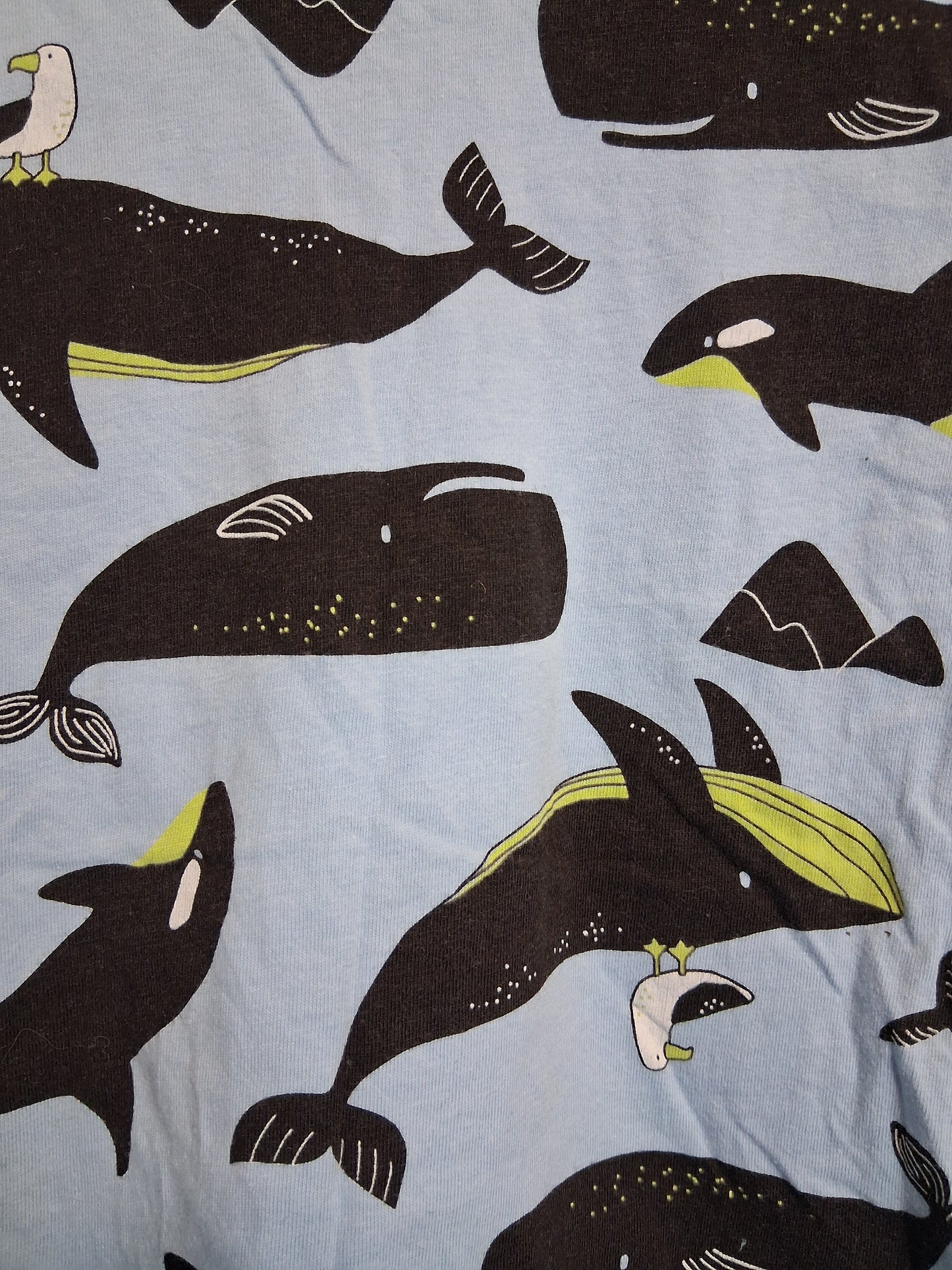 Matalan Boys Short Sleeve T-Shirt Whale Theme Age 2-3 Years