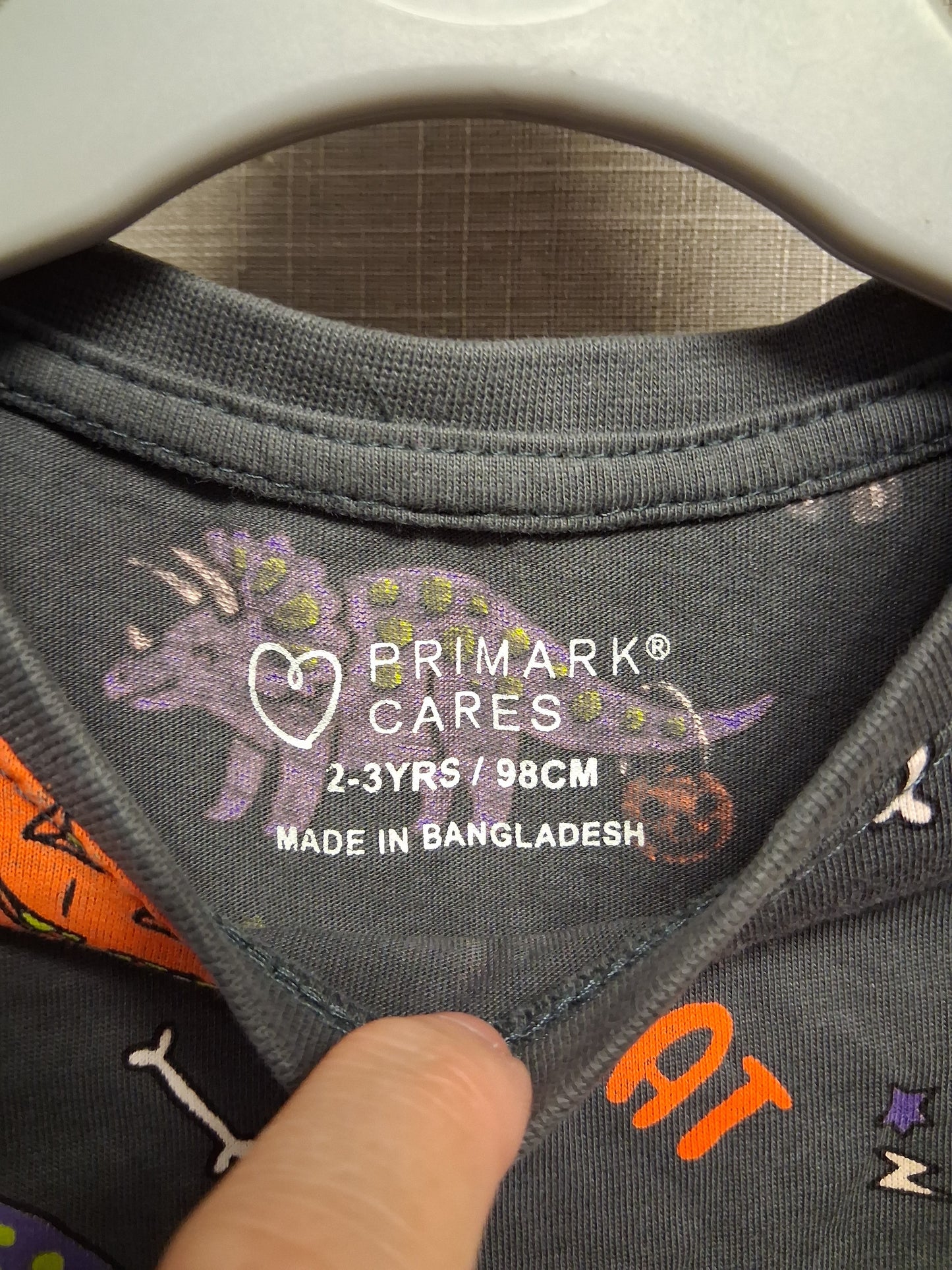 Primark Halloween Dinosaur Theme Long Sleeve T-Shirt Grey Jersey Age 2-3 Years