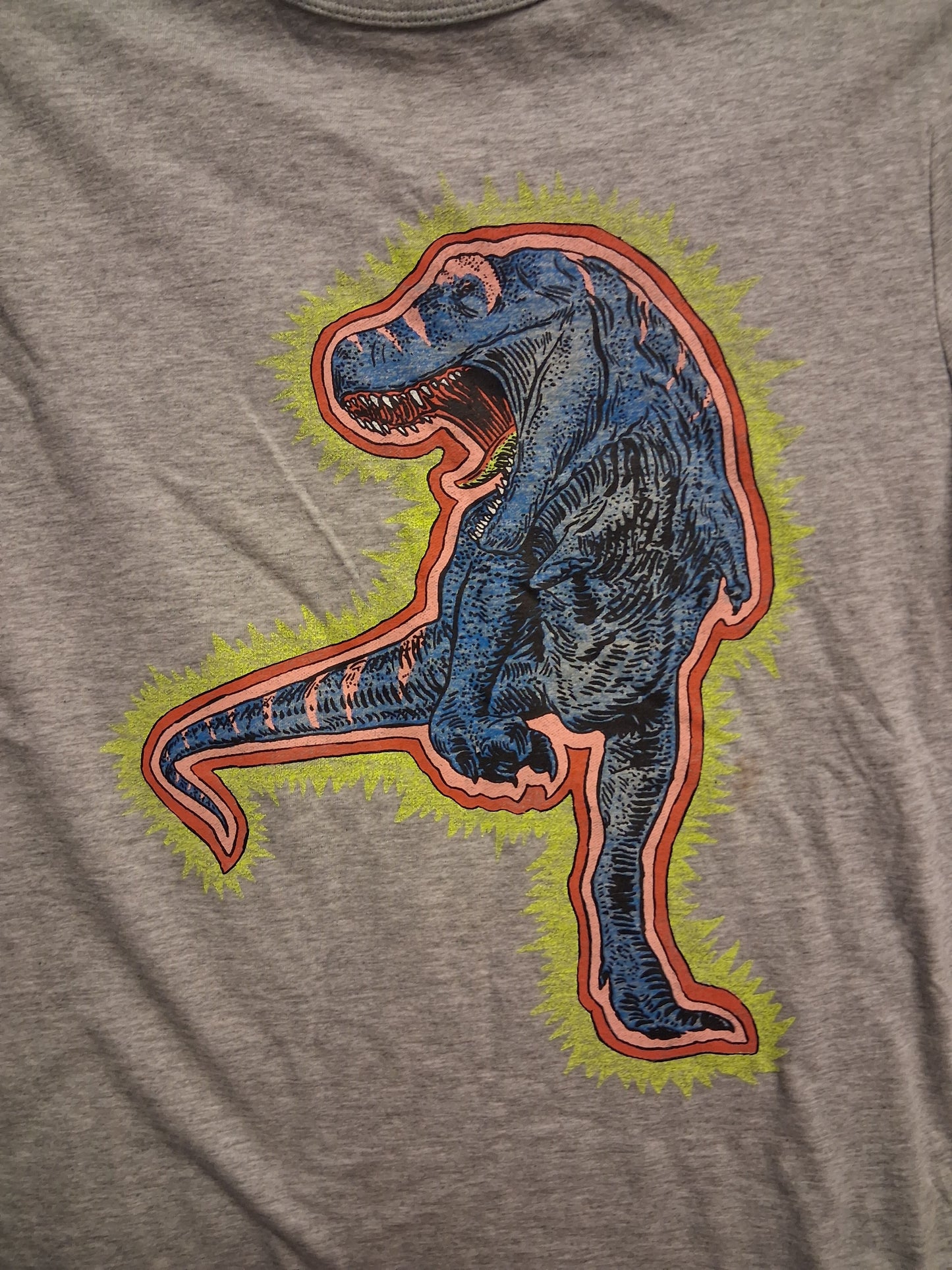 GAP Boys Grey Short Sleeve T-Shirt Dinosaur Graphic Age 12-13 Years