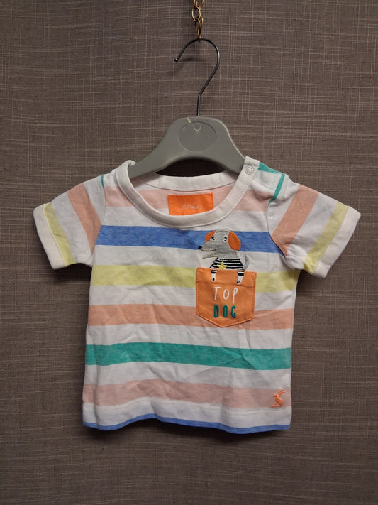 Joules Boys Multicolour Striped Jersey T-Shirt Short Sleeve Age 0-3 Month