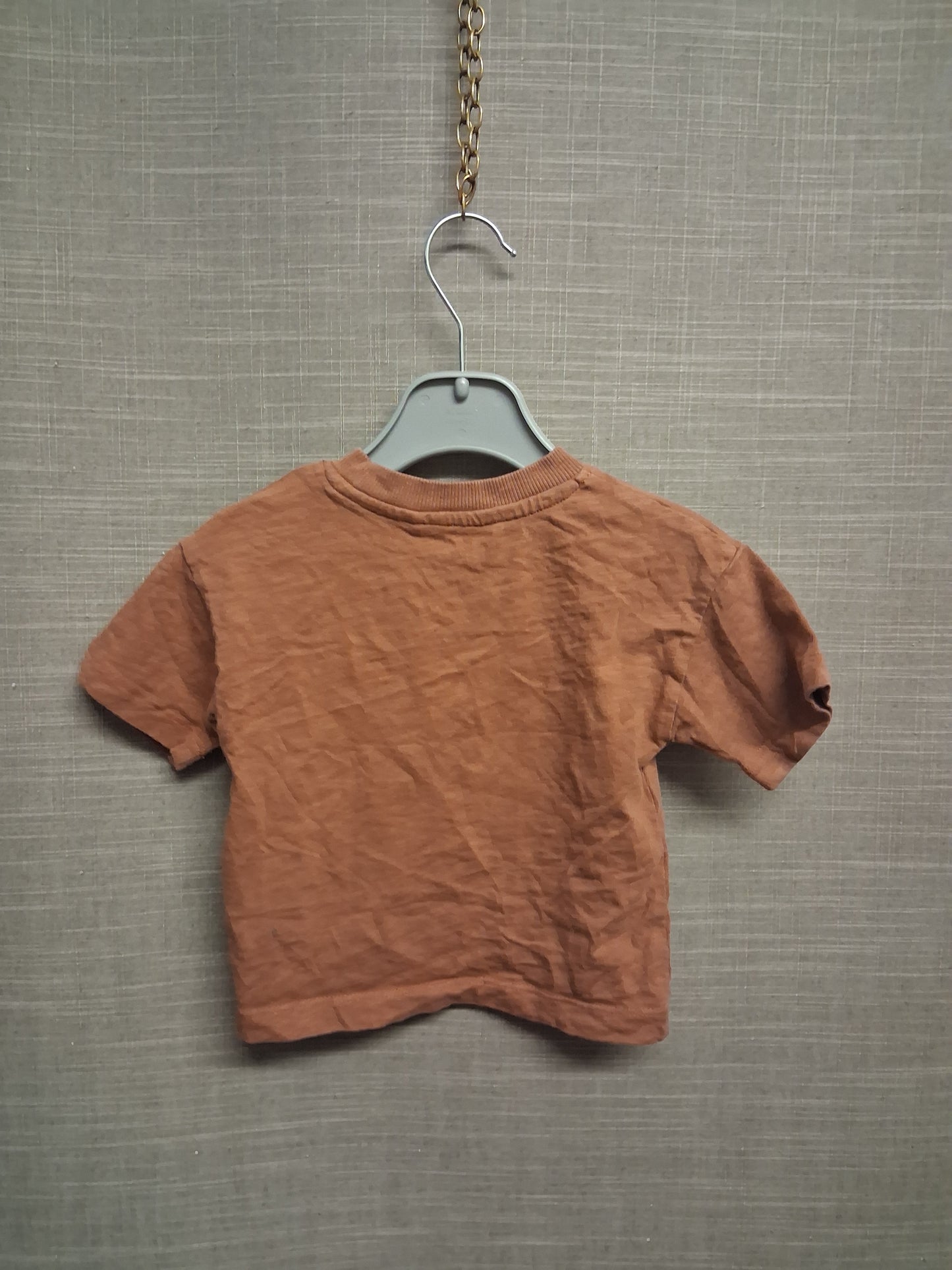 Next Boys Dinosaur T-Shirt Brown Short Sleeve Age 3-6 Months