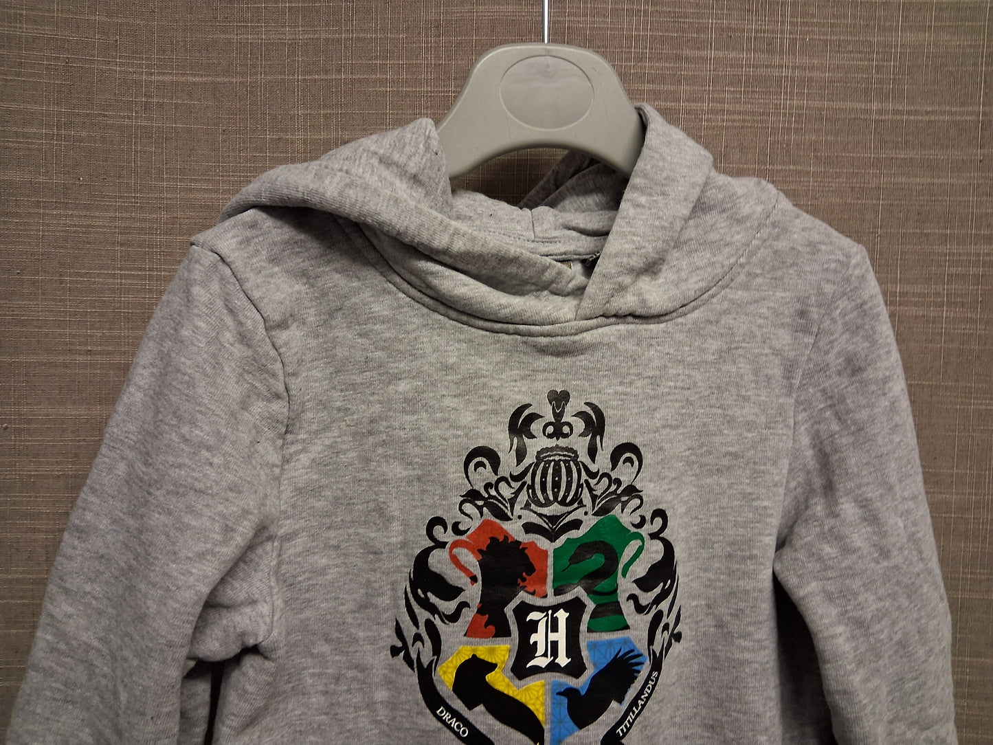 Harry Potter Boys Hoodie Jersey Grey Long Sleeve Age 3-4 Years