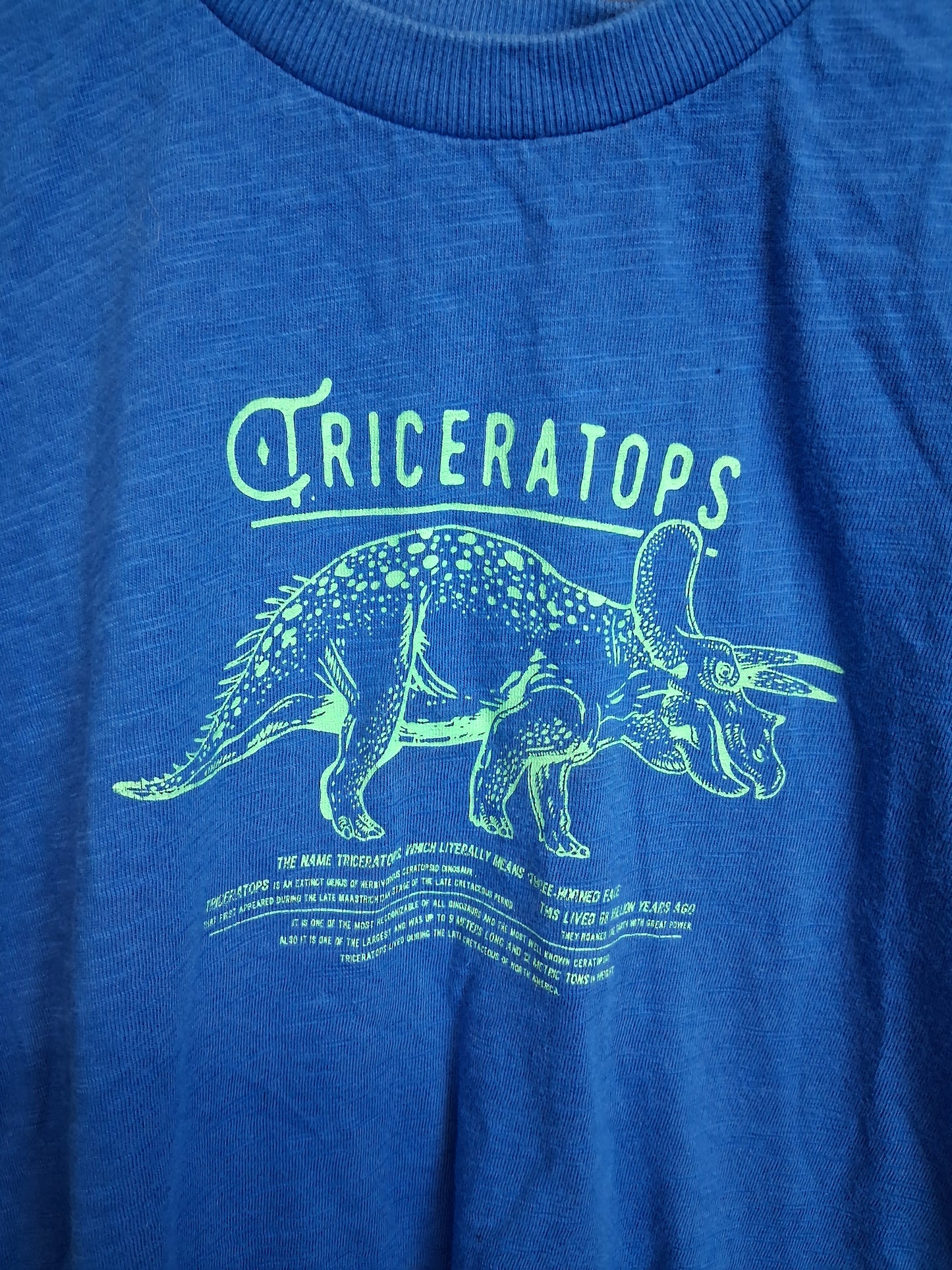 Next Boys Blue Short Sleeve T-Shirt Dinosaur Age 4 Years
