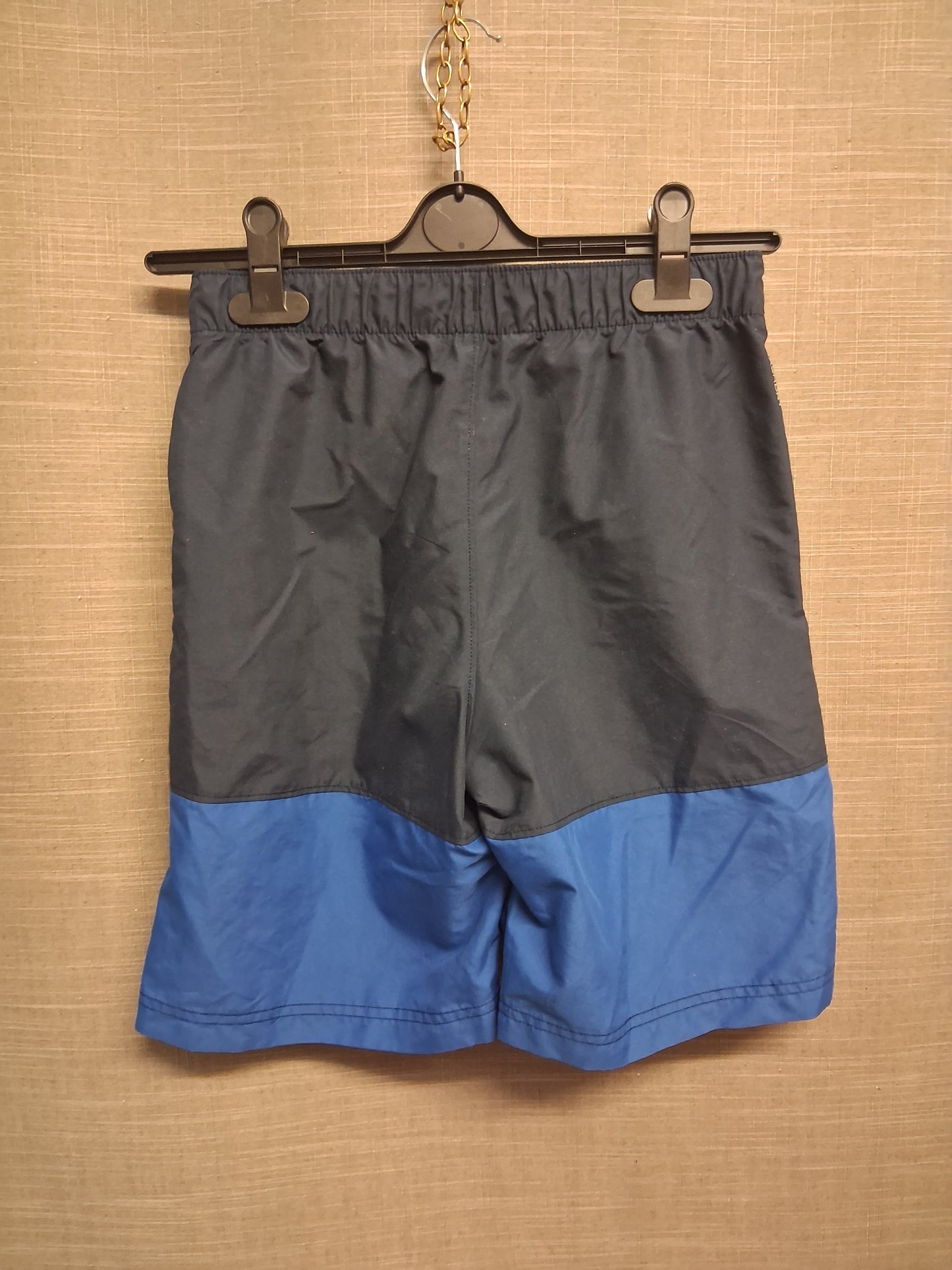 The North Face Boys Blue Swim Shorts Size Large Age 10-12 Years
