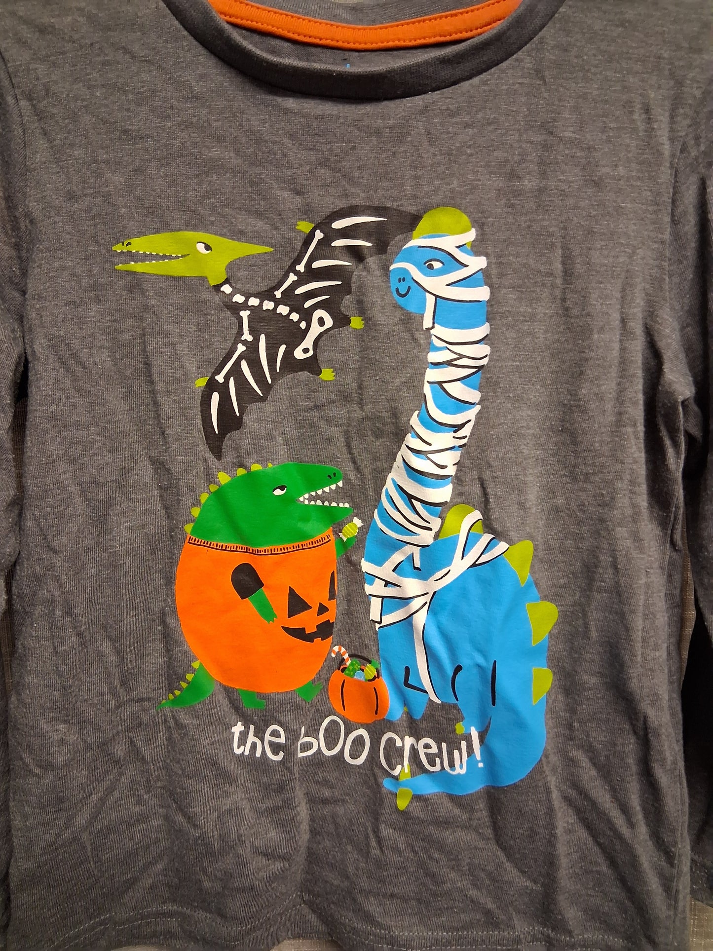 TU Boys Halloween Dinosaur Long Sleeve Grey T-Shirt Age 2-3 Years