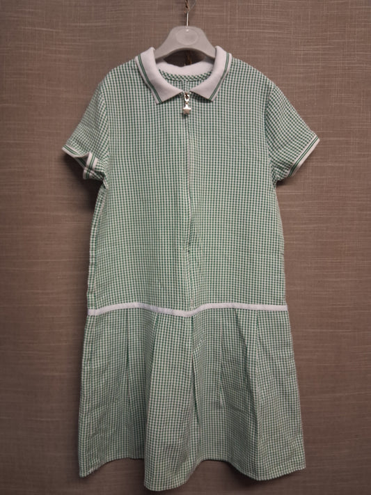 George Girls Green Gingham School Dress Age 9-10 Years