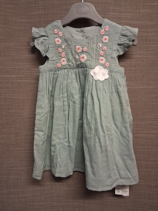 George Girls A Line Green Embroidered Floral Dress Lined Age 3-6 Months New